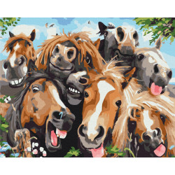 Mal efter tal - Selfie horses - dyr