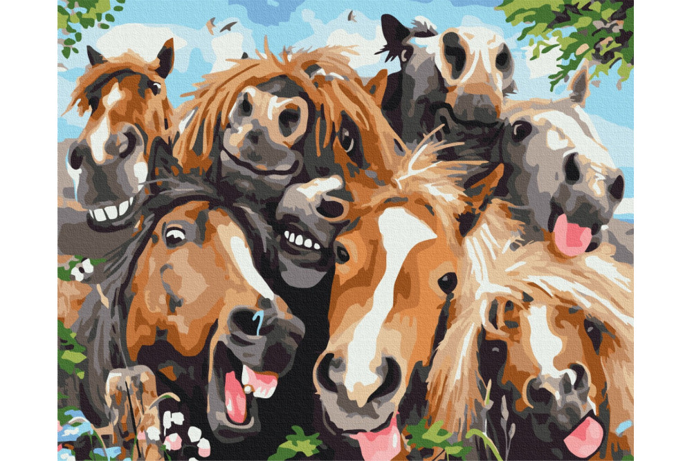 Mal efter tal - Selfie horses - dyr