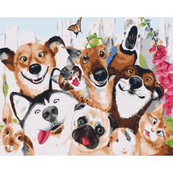 Mal efter tal - Selfie of pet animals - dyr