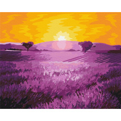Mal efter tal - Sunrise over lavender - blomster