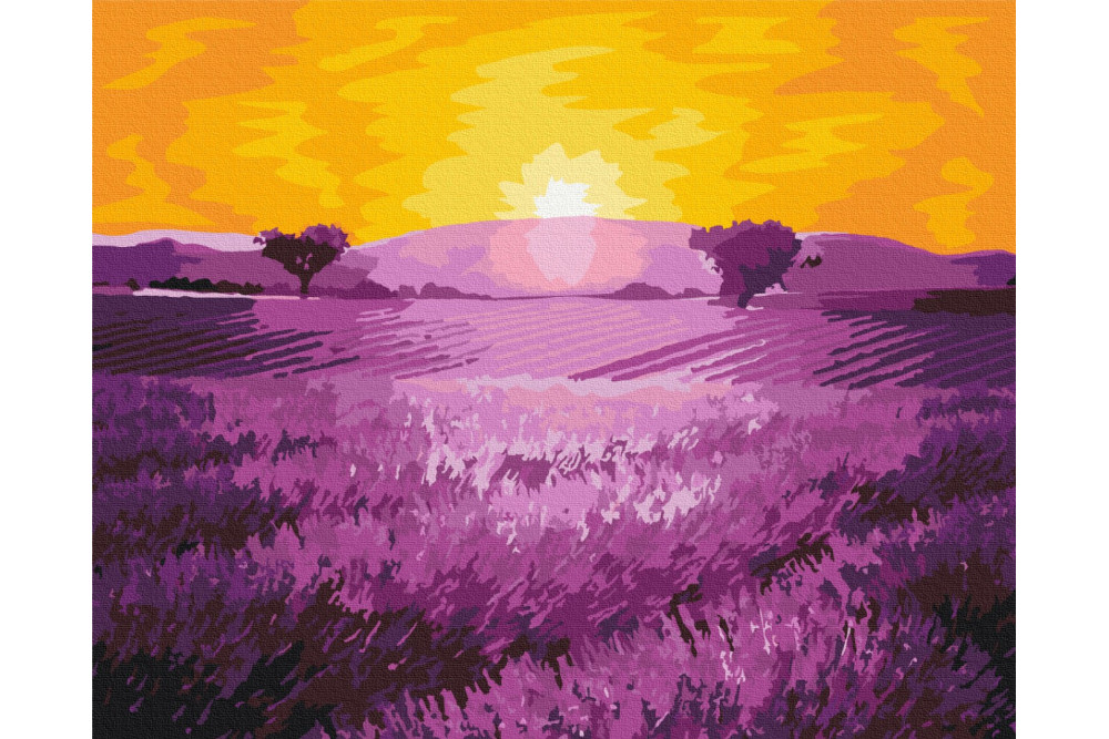 Mal efter tal - Sunrise over lavender - blomster