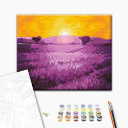 Mal efter tal - Sunrise over lavender