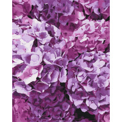 Mal efter tal - The beauty of hydrangeas - blomster