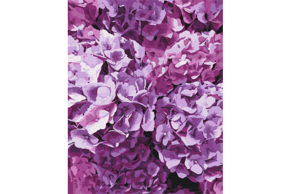 Mal efter tal - The beauty of hydrangeas - blomster