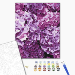 Mal efter tal - The beauty of hydrangeas