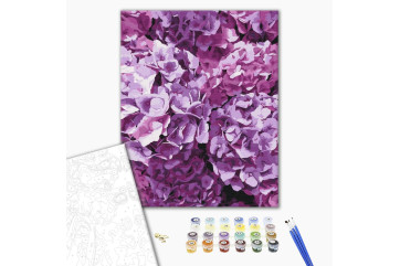 Mal efter tal - The beauty of hydrangeas