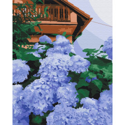 Mal efter tal - Hydrangea at home - blomster