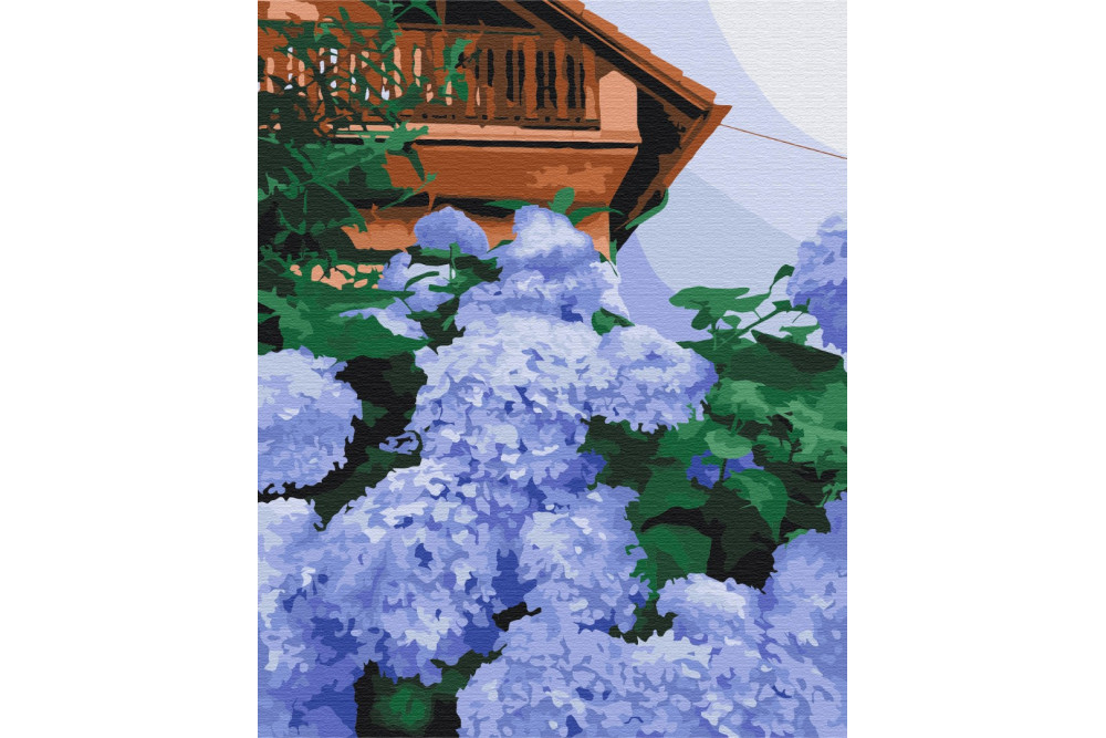 Mal efter tal - Hydrangea at home - blomster