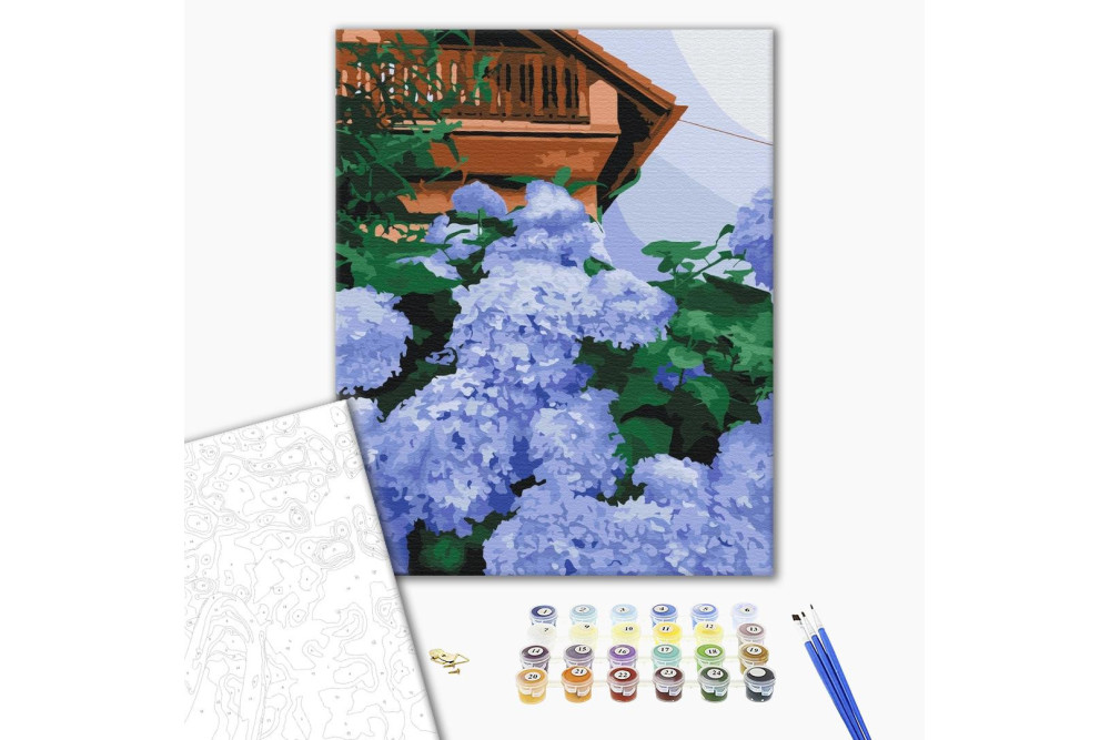 Mal efter tal - Hydrangea at home