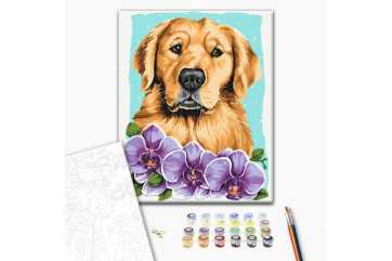 Mal efter tal - Golden retriever © Anna Kulyk