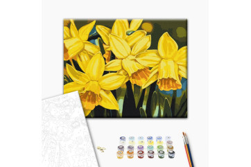 Mal efter tal - Daffodils © Anastasiia Osmolovska