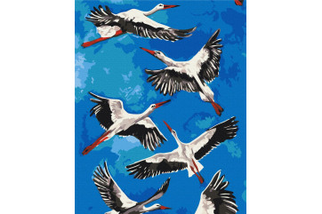 Mal efter tal - Storks © Karina Zimina - dyr