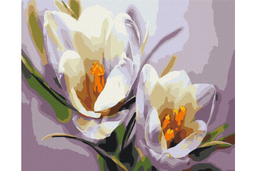 Mal efter tal - Crocuses - blomster