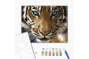 Mal efter tal - Tiger gaze