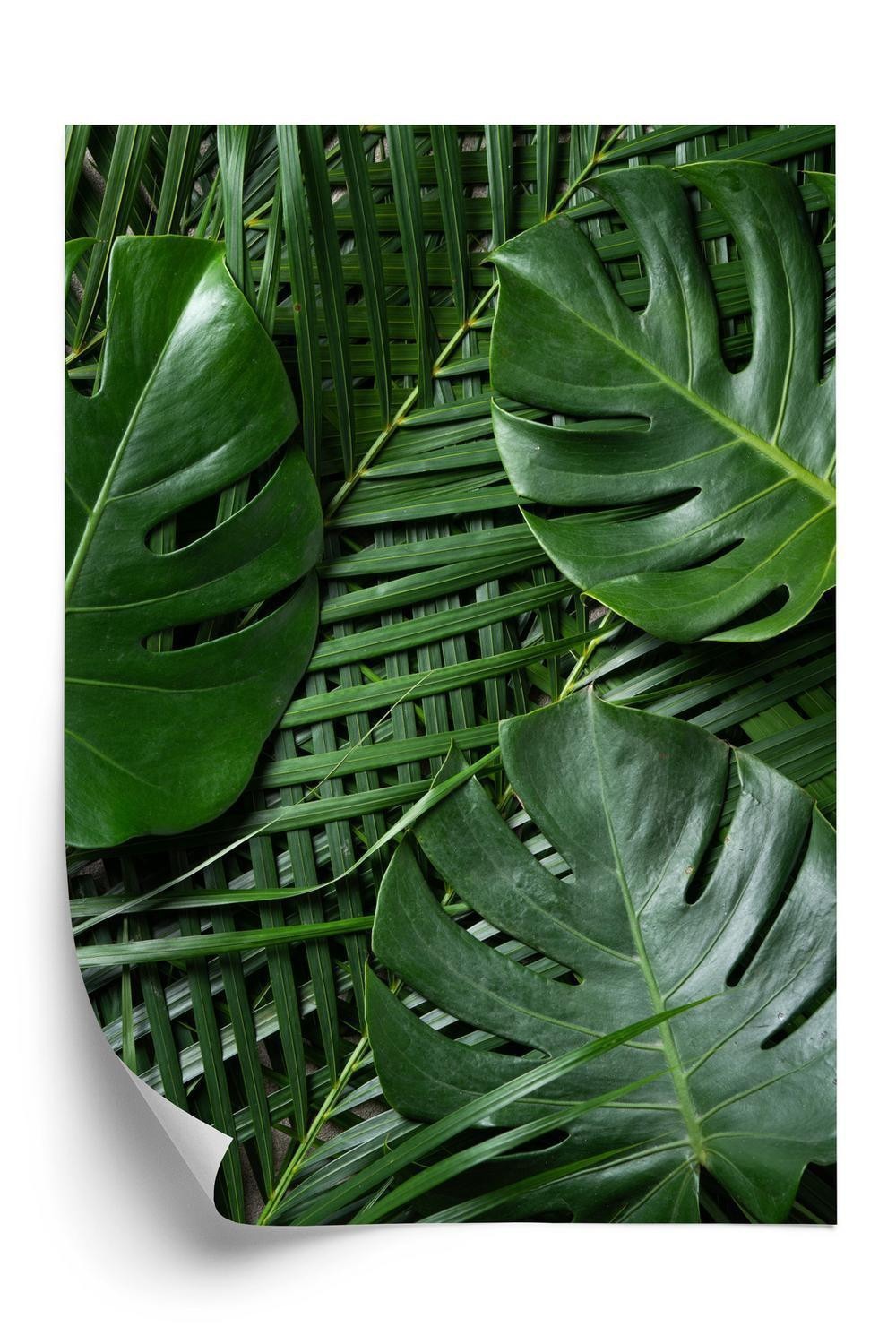 Plakat - Grøn monstera og palmeblade