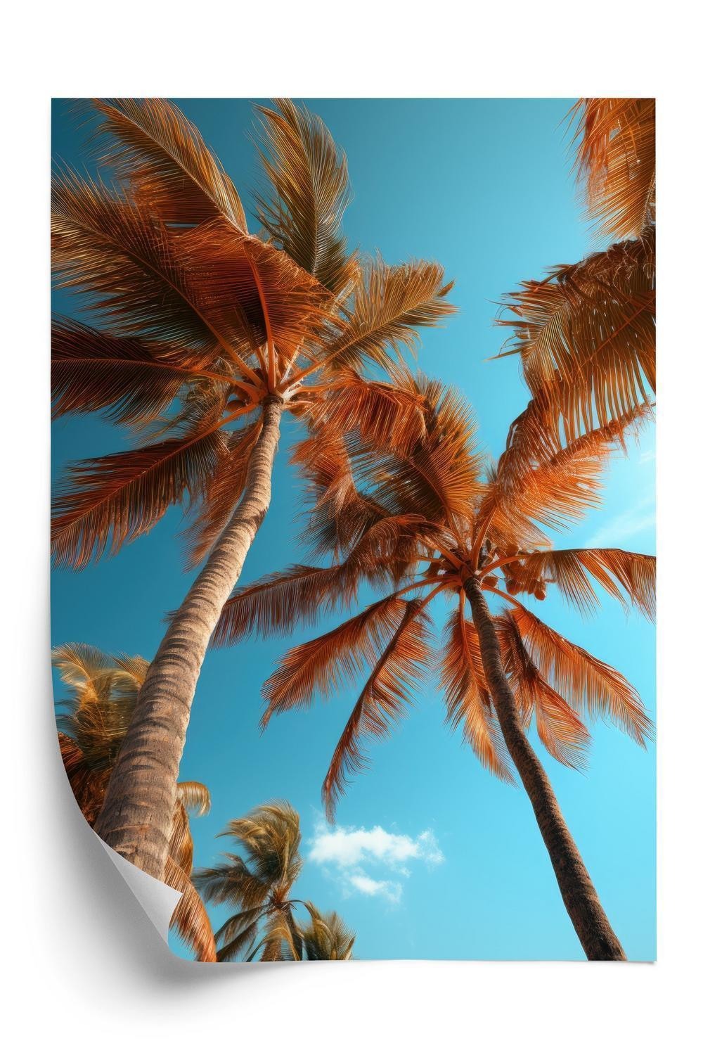 Plakat - Blå himmel og høje palmer