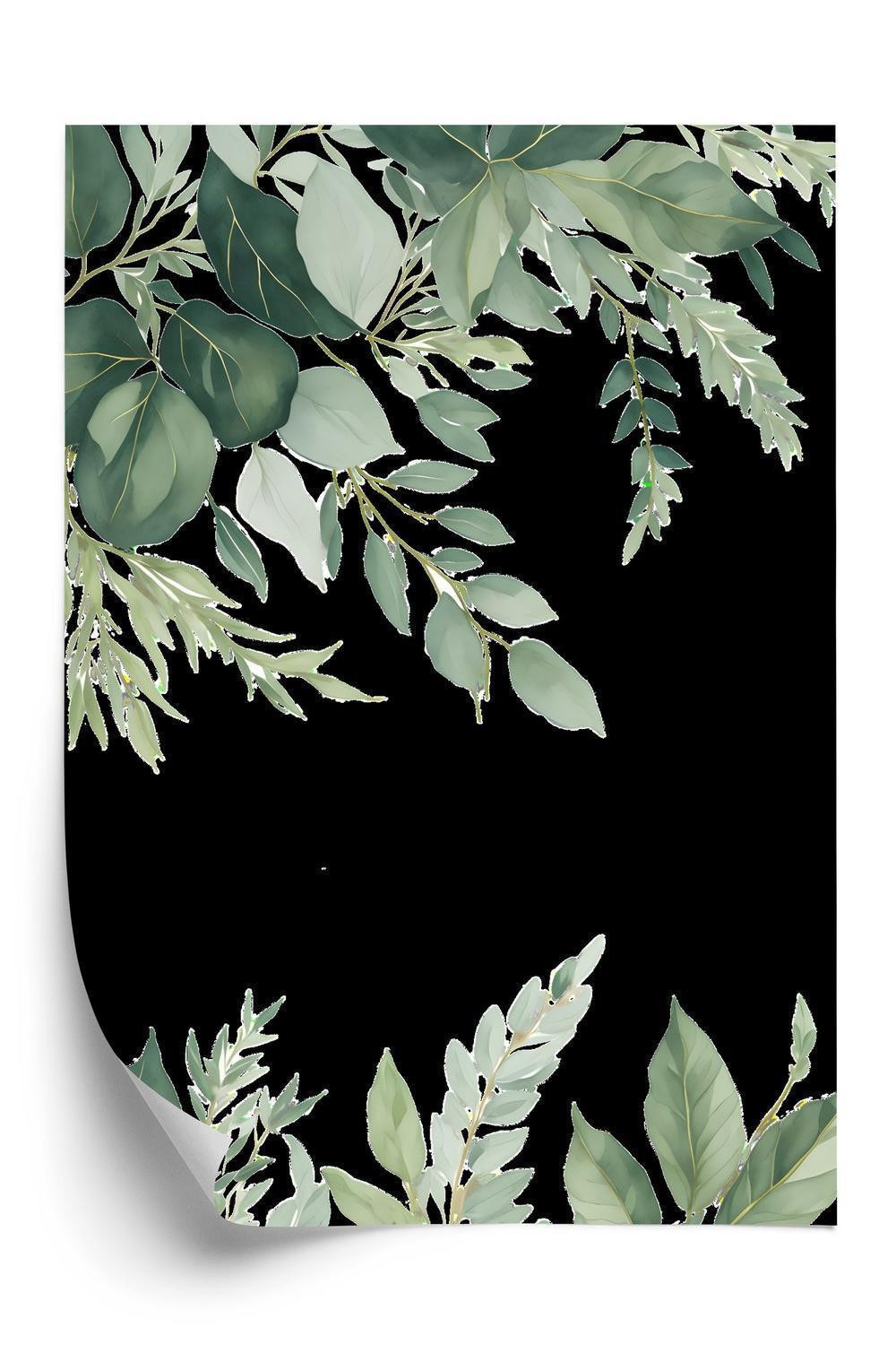 Plakat - Hængende eukalyptusblade