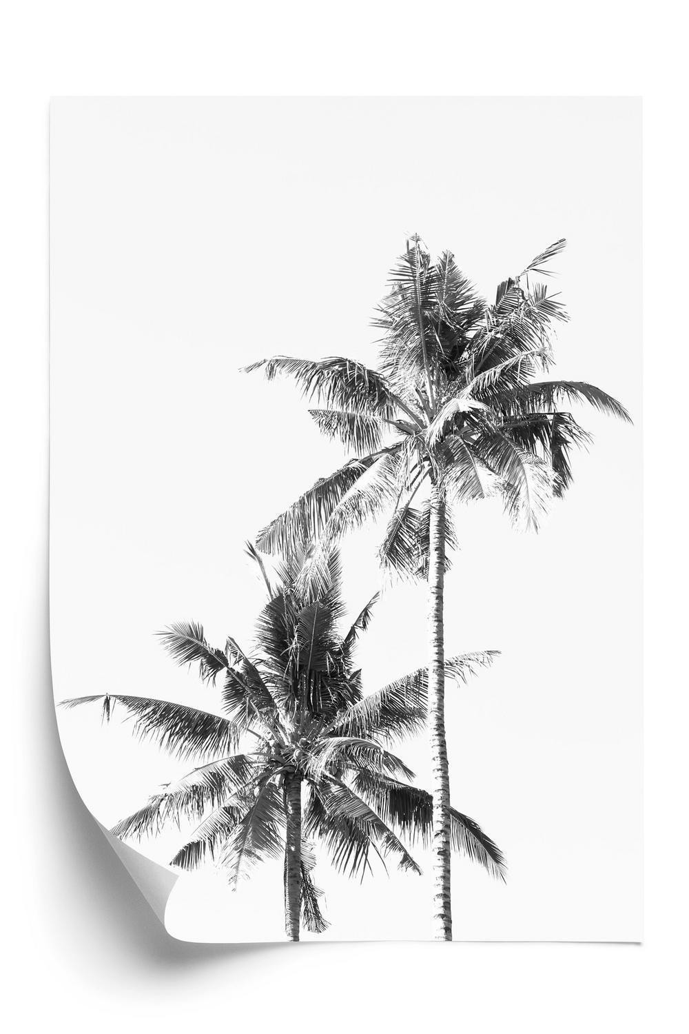 Plakat - Sorte og hvide palmer