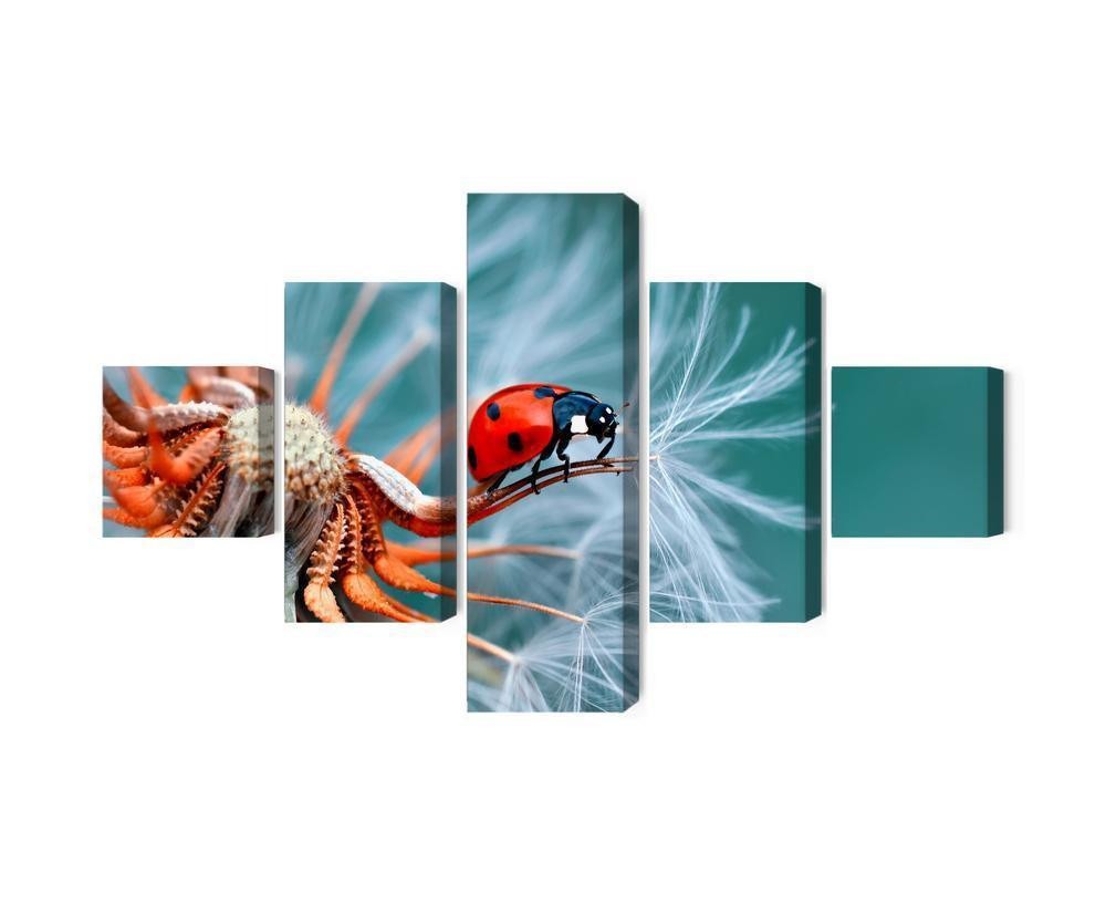 Fototapet - Technicolor
