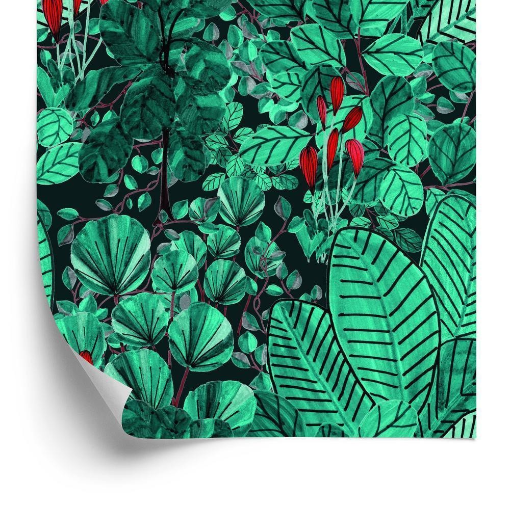 Tapet - Monstera forlader