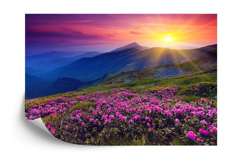 Fototapet - Landskabsblomster