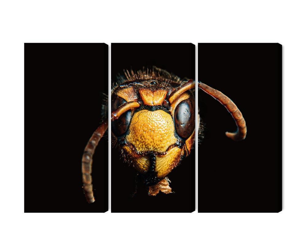 Flerdelt billede på lærred hornet på makroskala