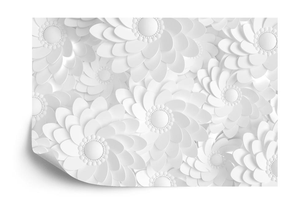 Fototapet - Beautiful elegant paper flower in the style of hand-Made on a white wall. 3D