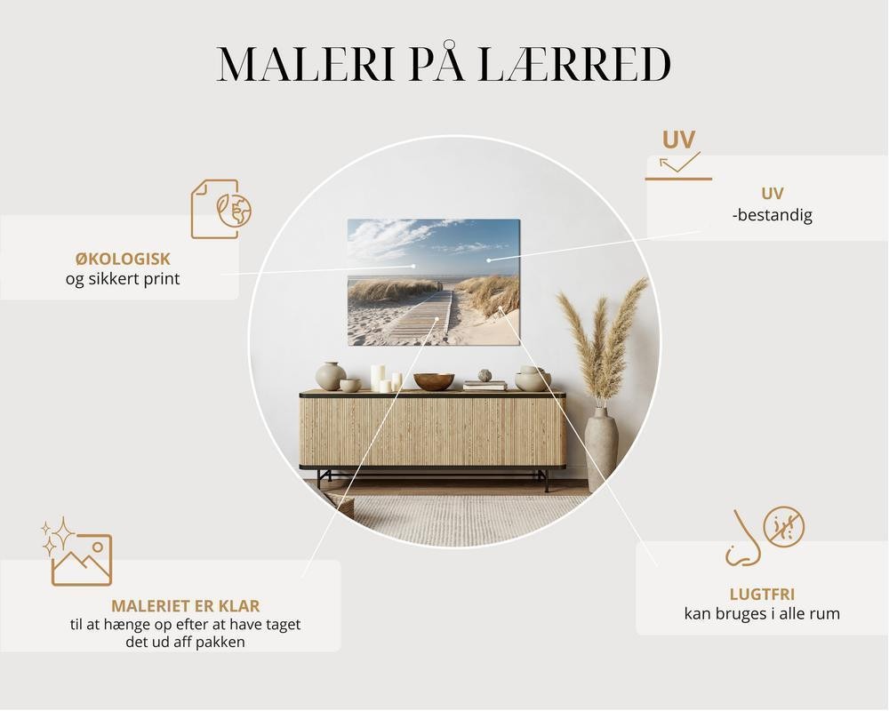 Billede - Palm Shadow (1...