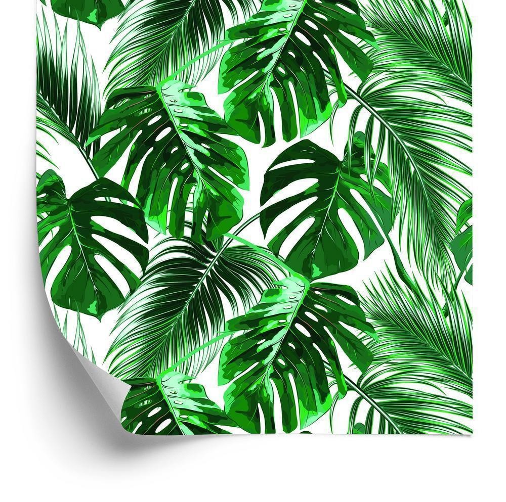 Tapet - Blade af palme og monstera