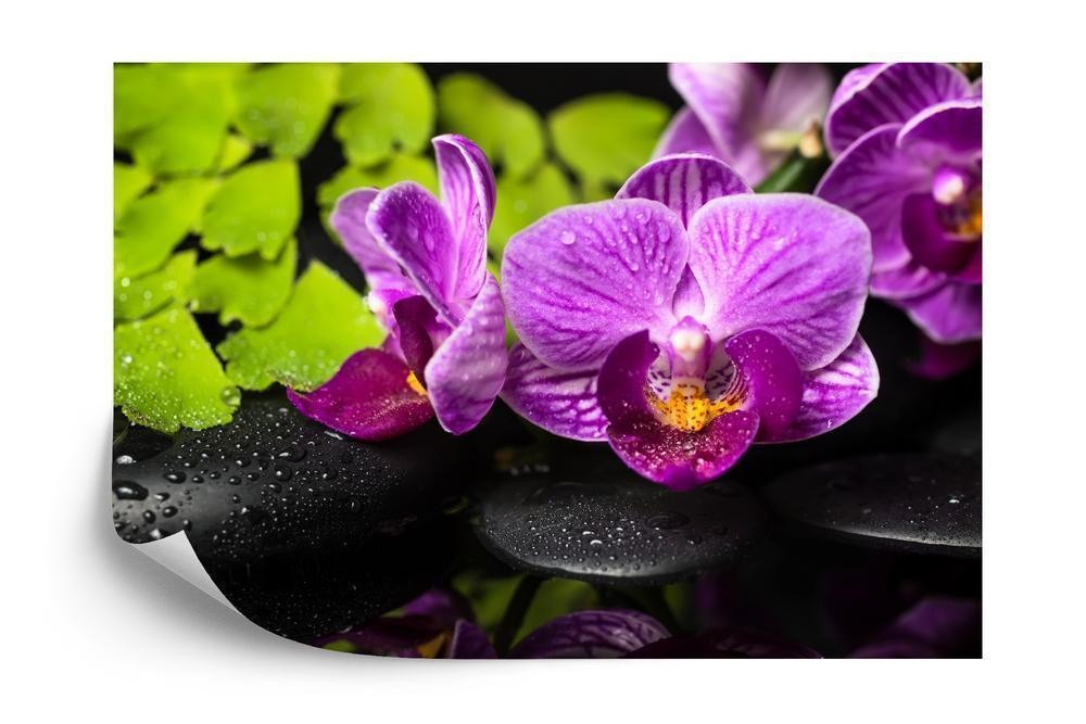 Fototapet - Orchid spa