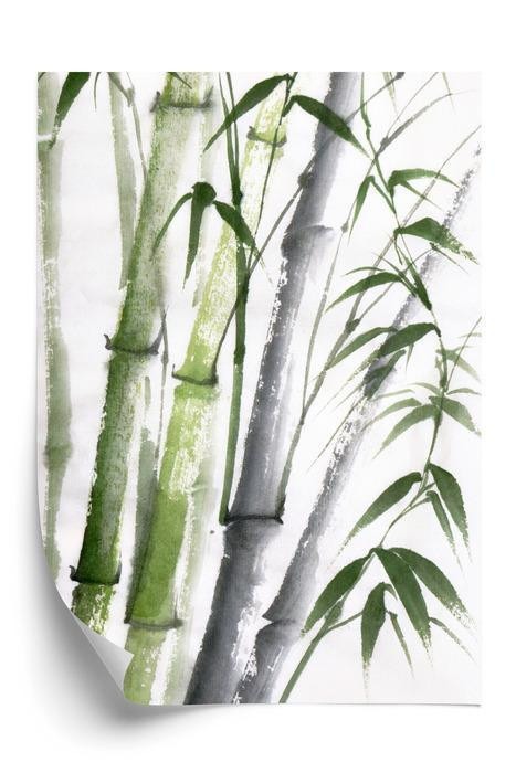 Plakat - Bambus med akvarelblade