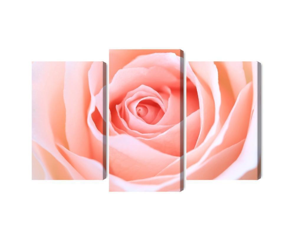 Flerdelt lærred pastel rose på en 3D makro skala